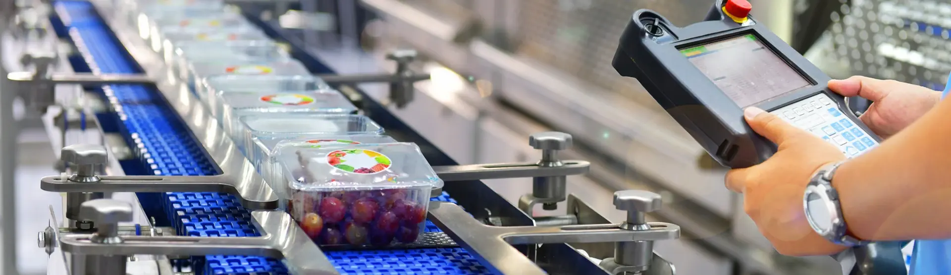 foodprocessing-hdr639082368366948795