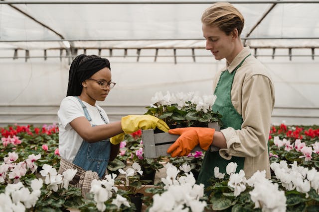 horticulturepexels-tima-miroshnichenko-6508781