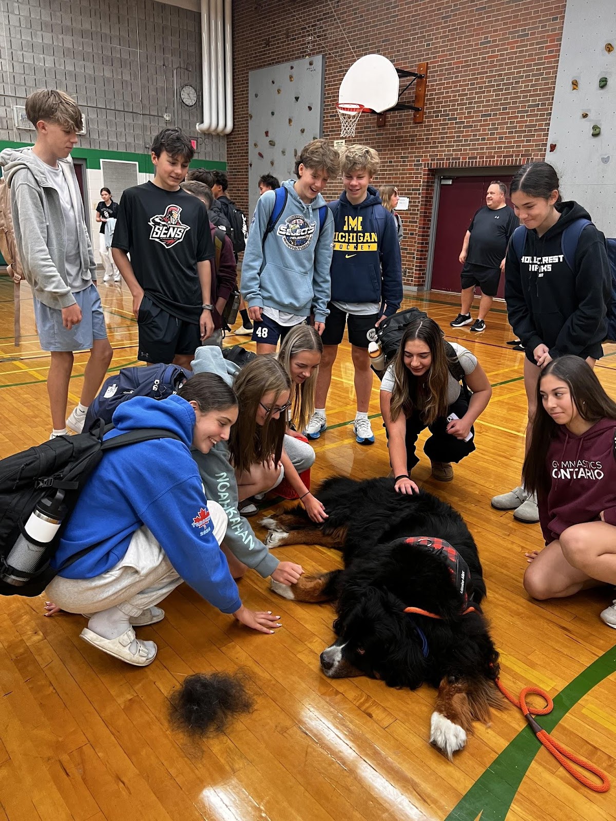 Sunshine Therapy Dogs Visit SCI