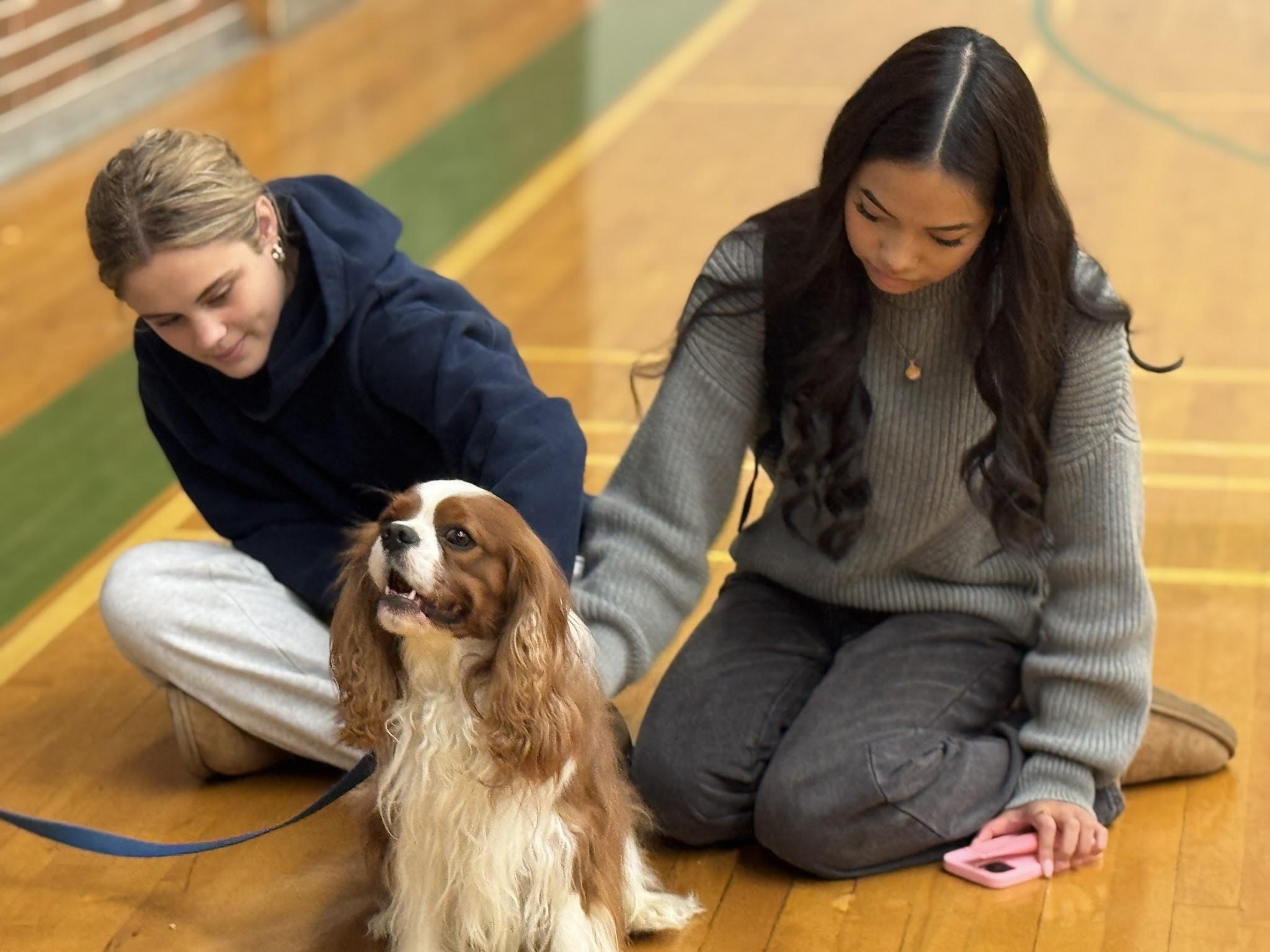 Sunshine Therapy Dogs Visit SCI