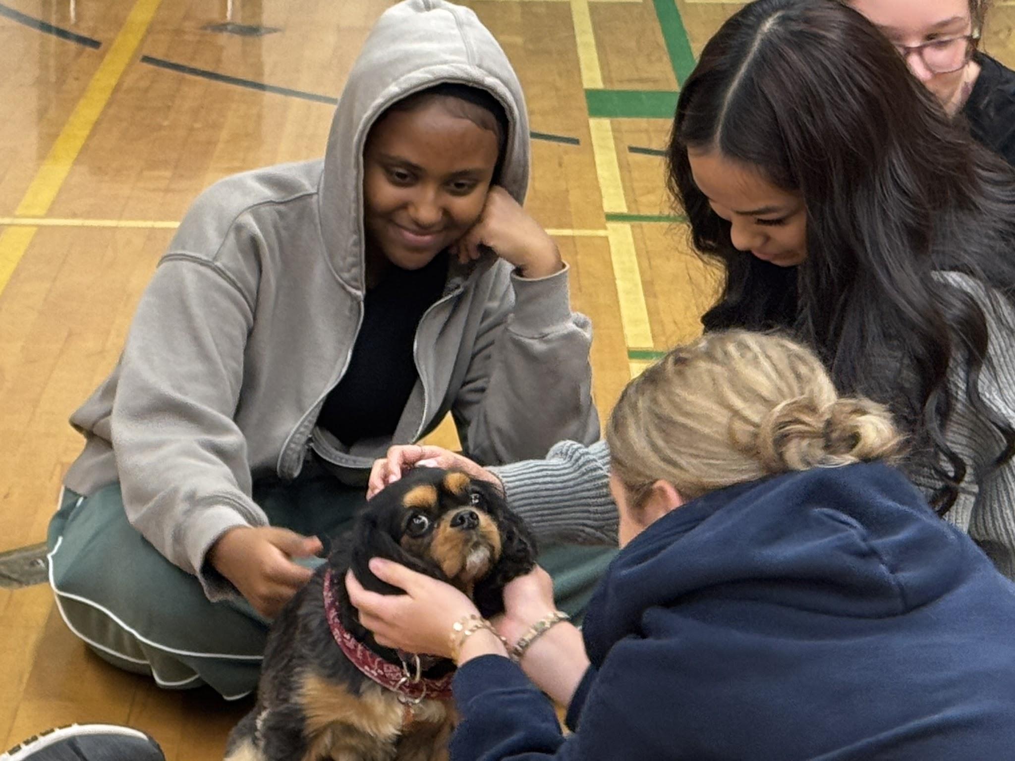 Sunshine Therapy Dogs Visit SCI