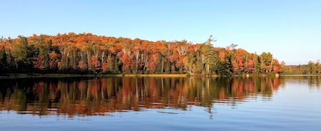 IMG_1544 IMG_1544