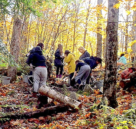 Students building a rock and wood staircase on one of our worn out trails