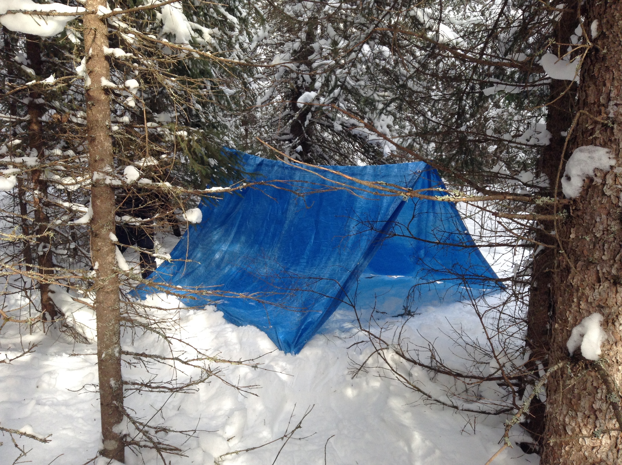Building a shelter with a tarp at SOES