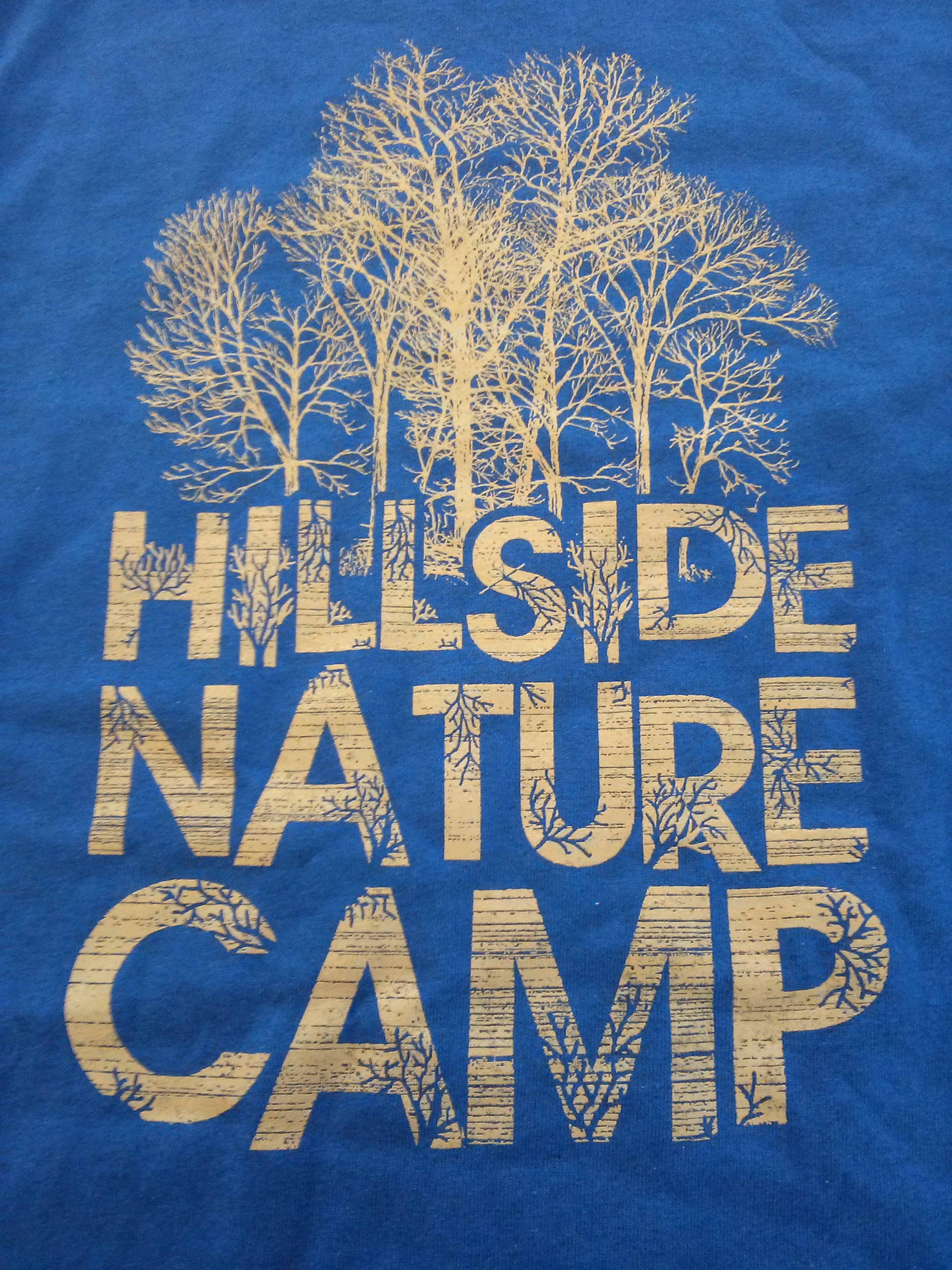 Hillside Nature Camp