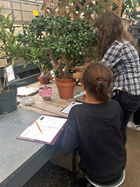 students measuring a plant