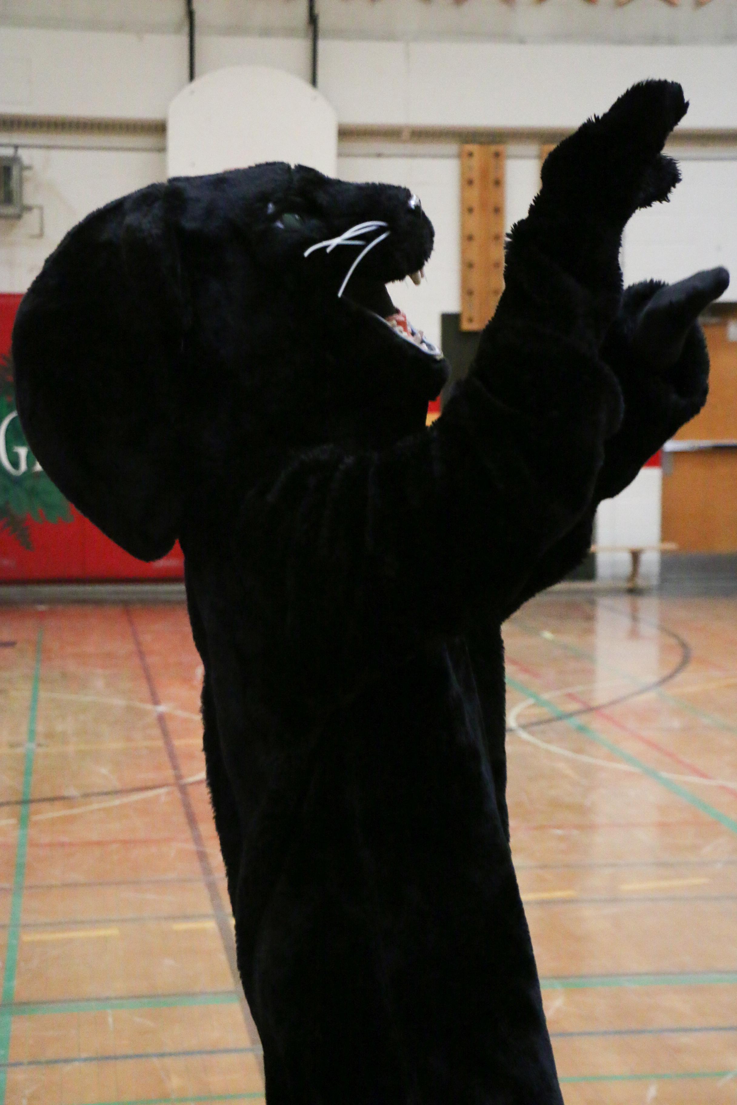 panther mascot