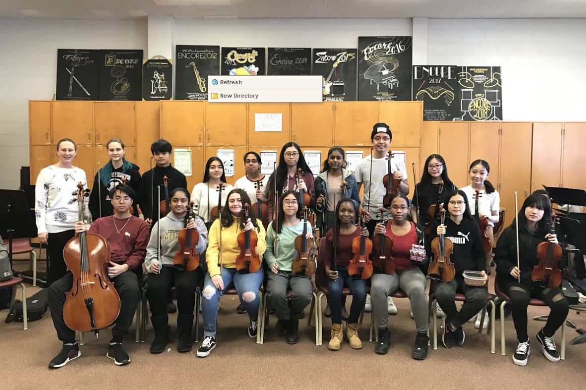 Chamber Strings