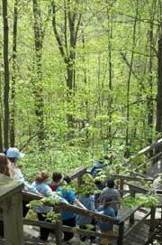Mono Cliffs